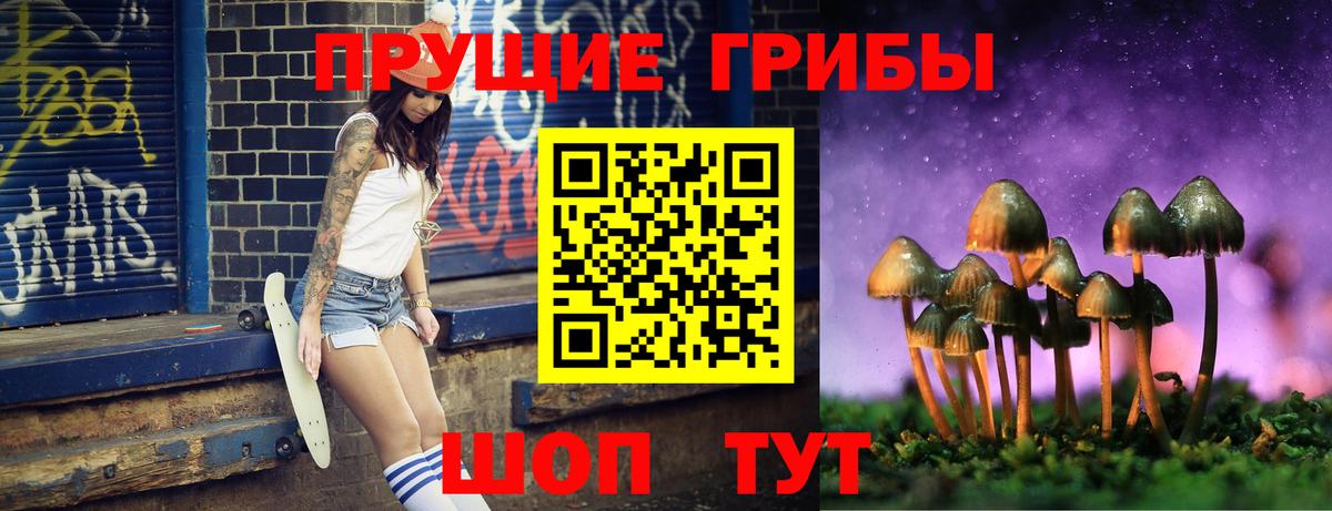 Галлюциногенные грибы Magic Shrooms  Галлюциногенные грибы ЛСД  Волхов  Вход с VPN 