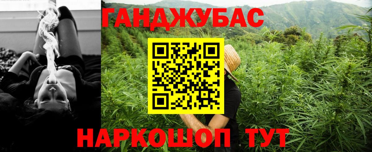 Конопля индика Волхов